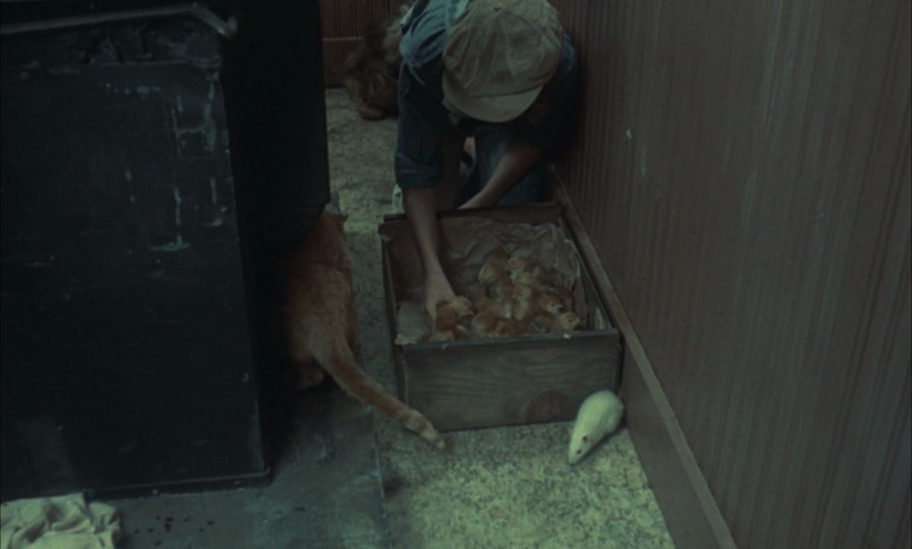 Shot 198