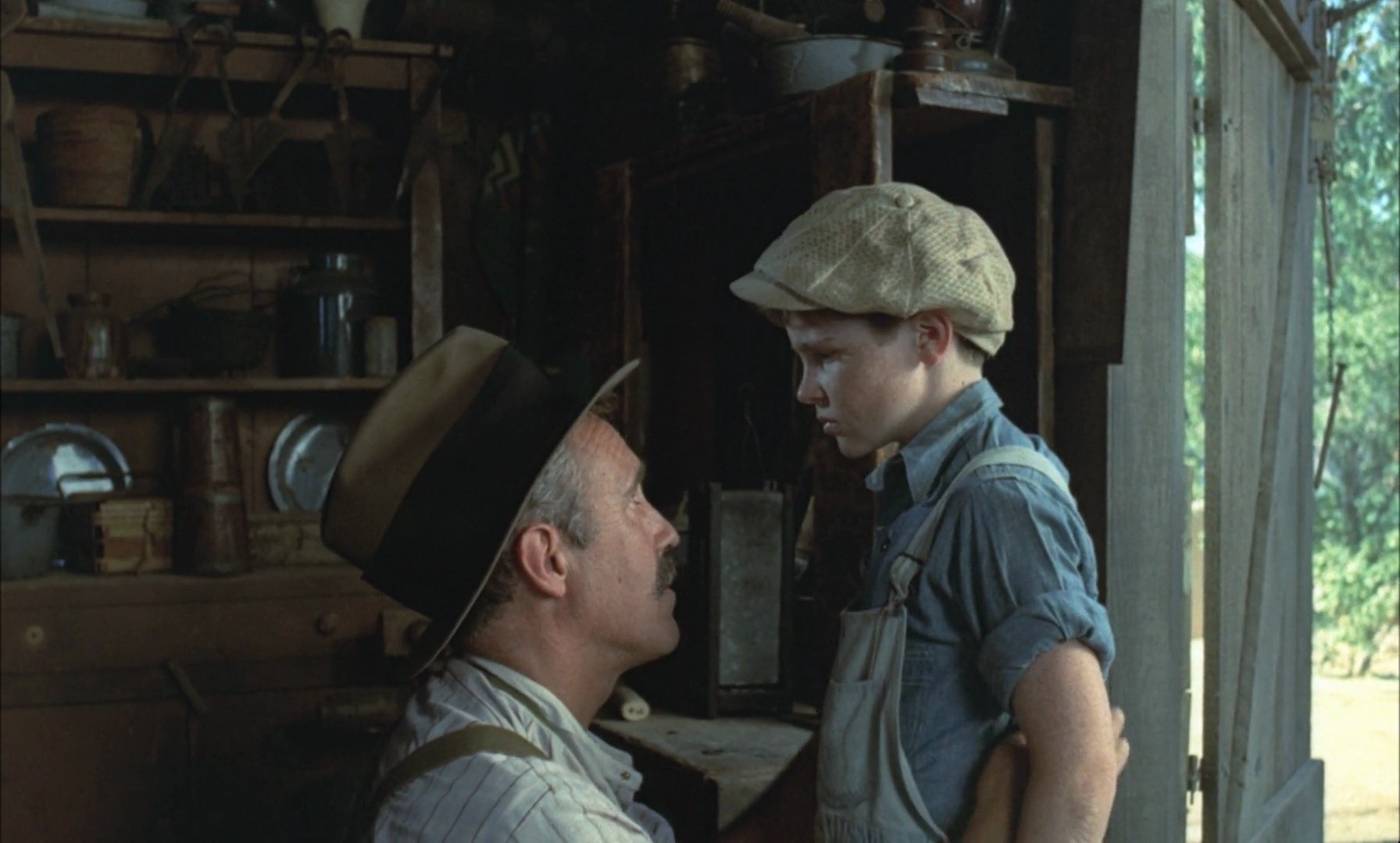 Shot 234