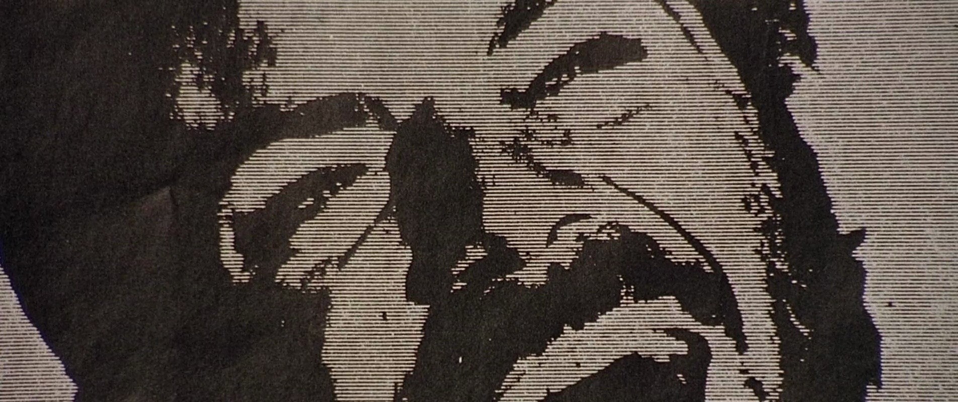 Shot 319