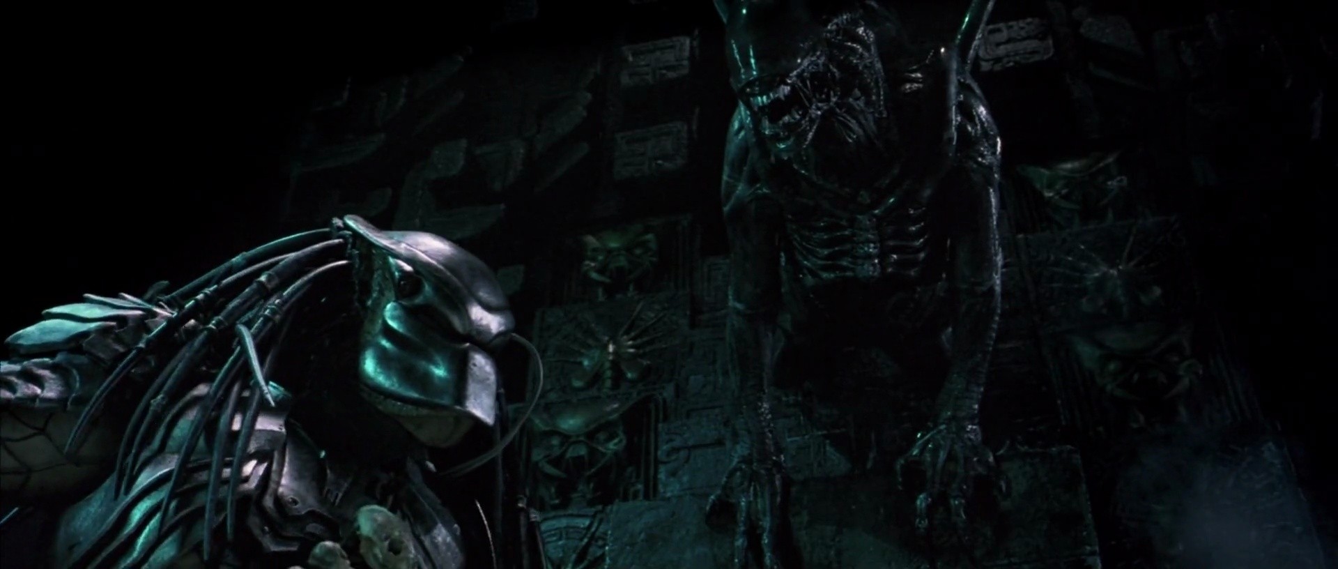 Shot 1435