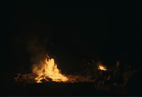 Shot 450