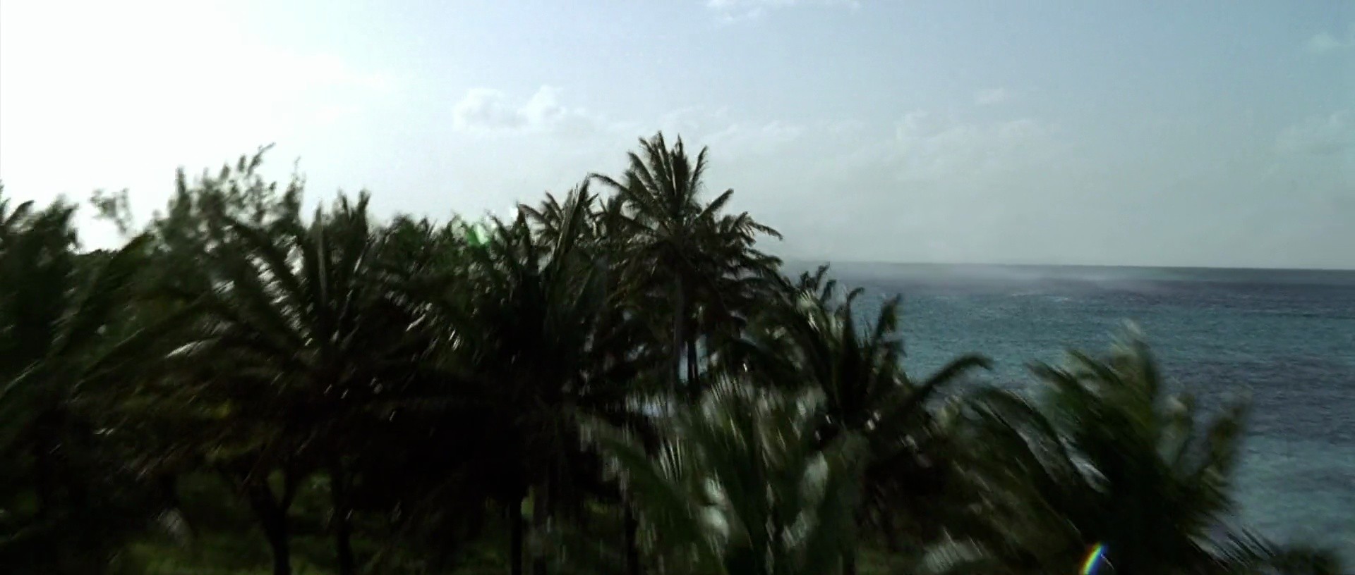 Shot 1988