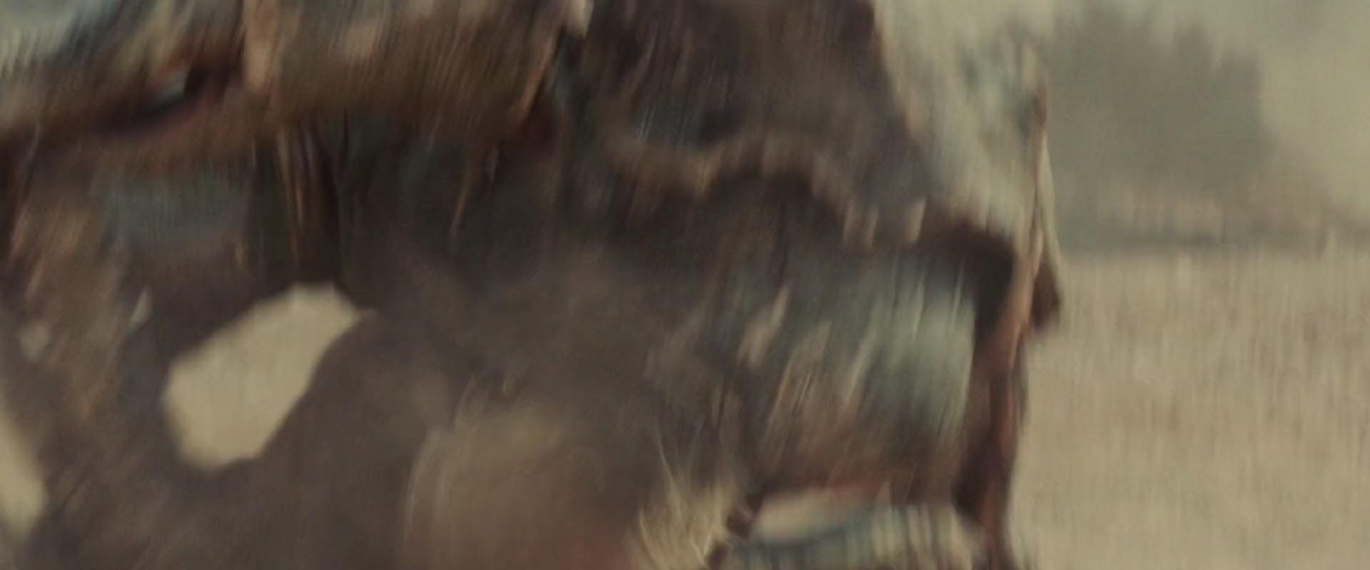 Shot 1782