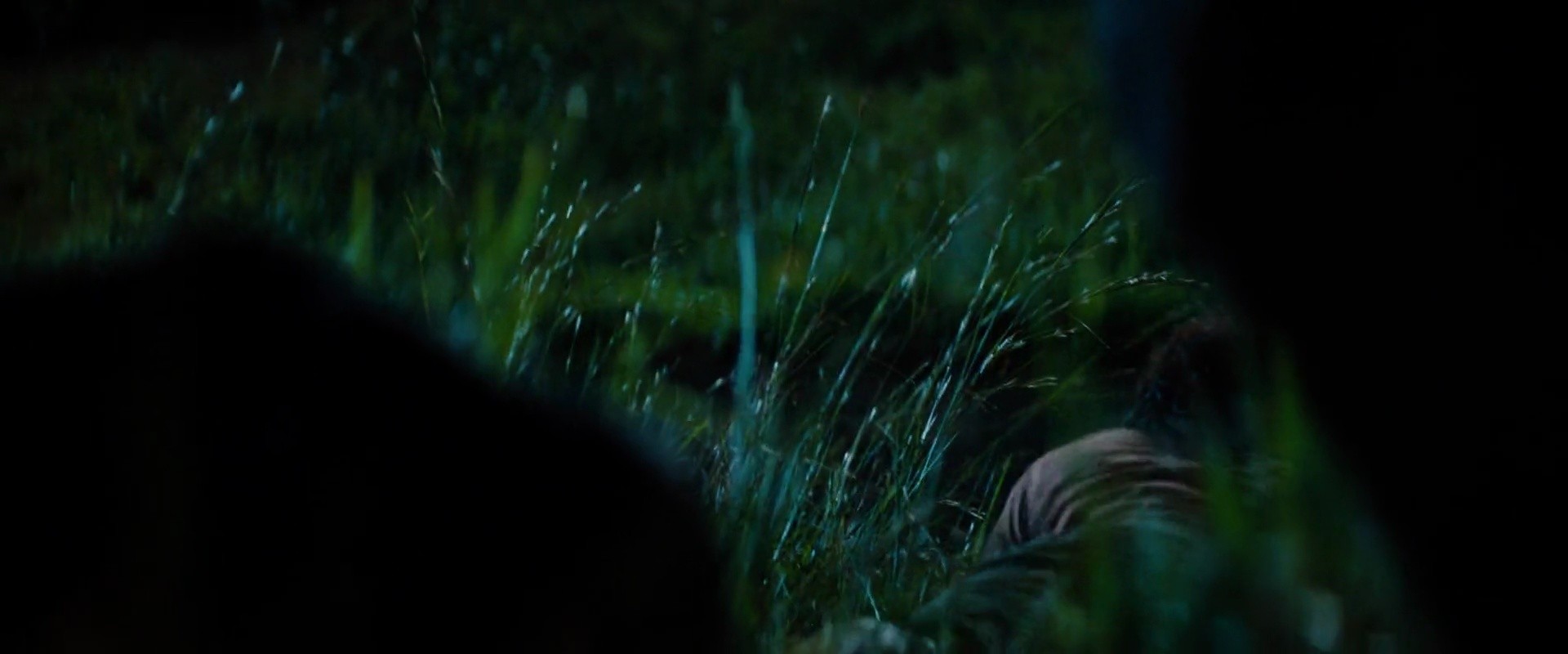 Shot 2035