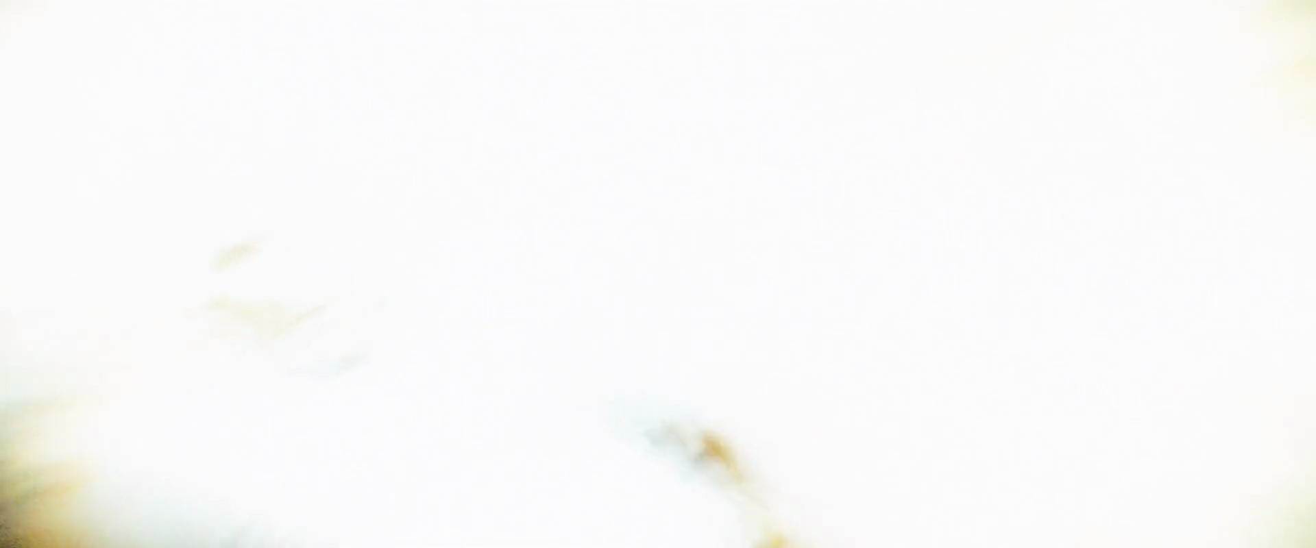 Shot 2804