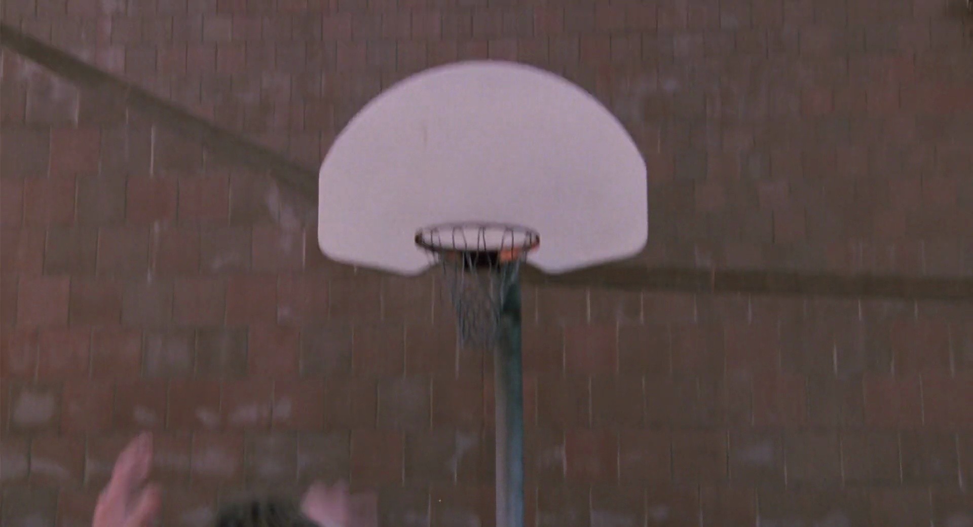 Shot 454
