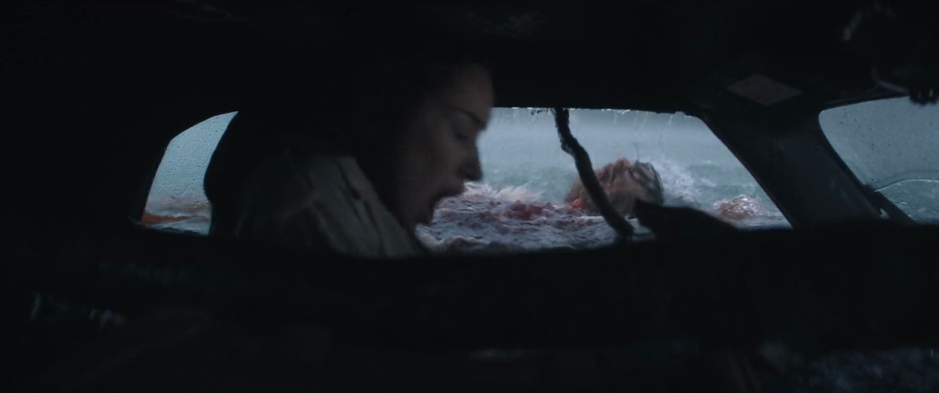 Shot 407
