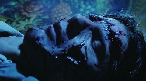 Shot 419