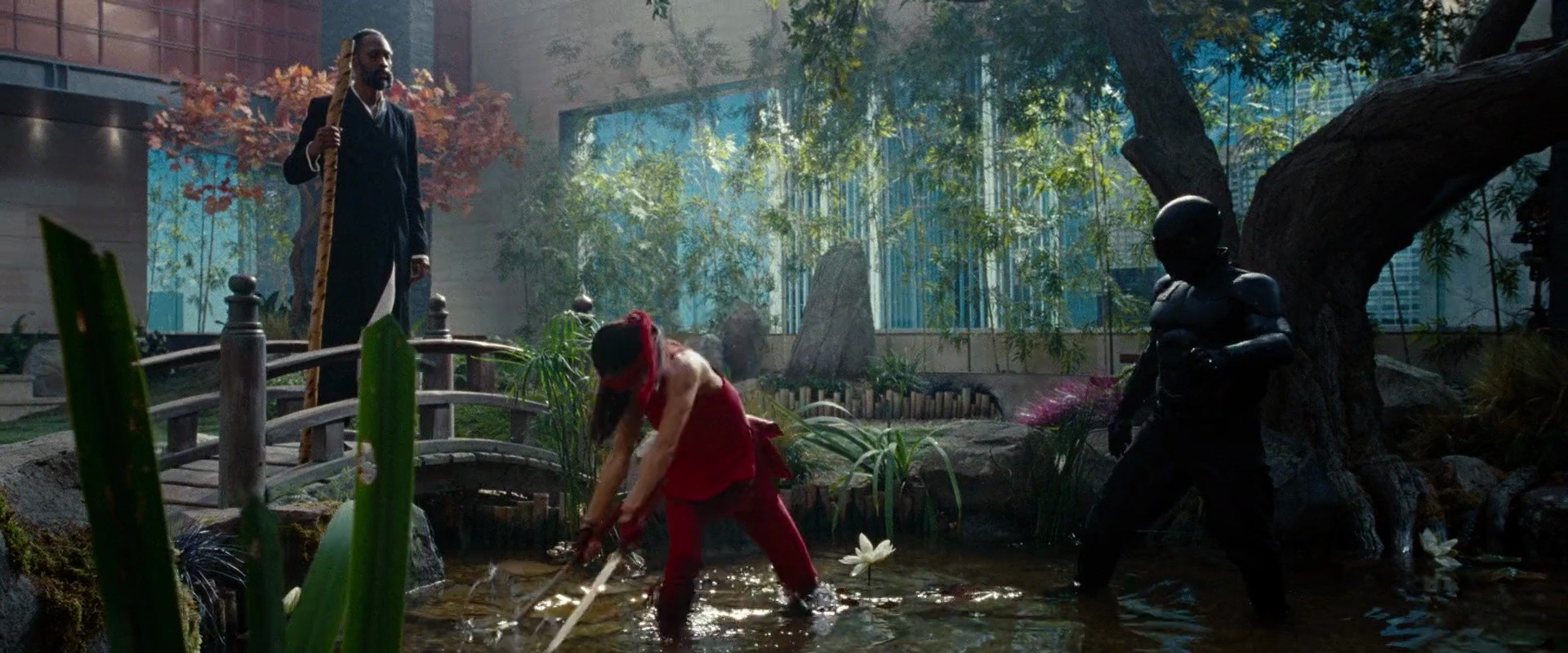 Shot 224