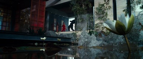 Shot 210