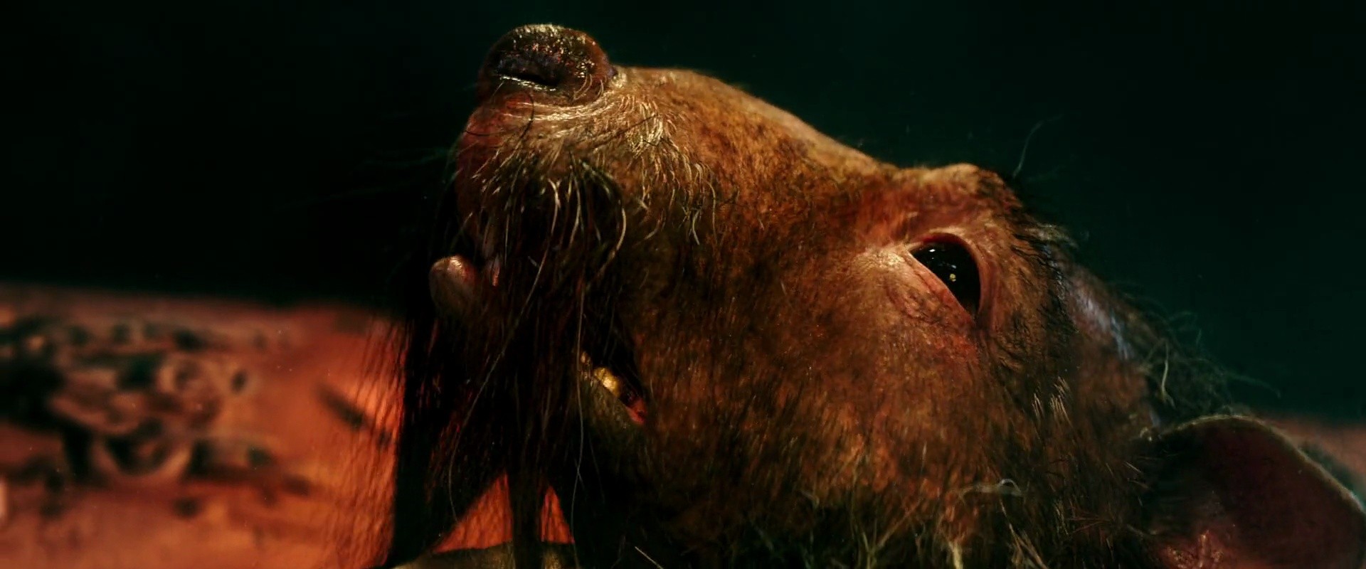 Shot 1058