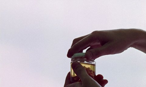 Shot 109