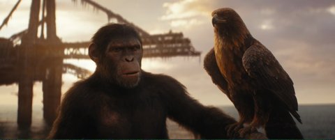 Shot 1131