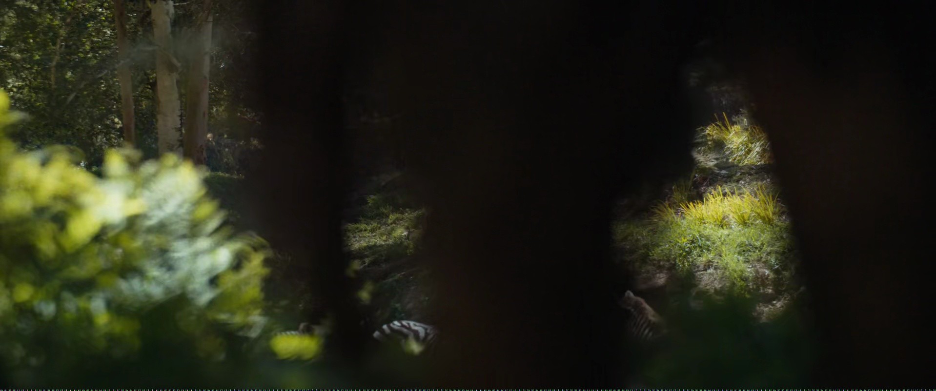 Shot 588