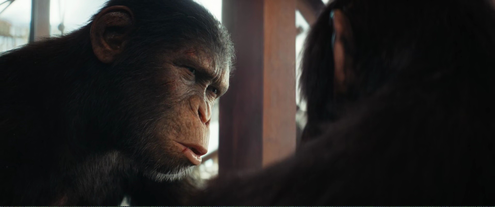 Shot 1022