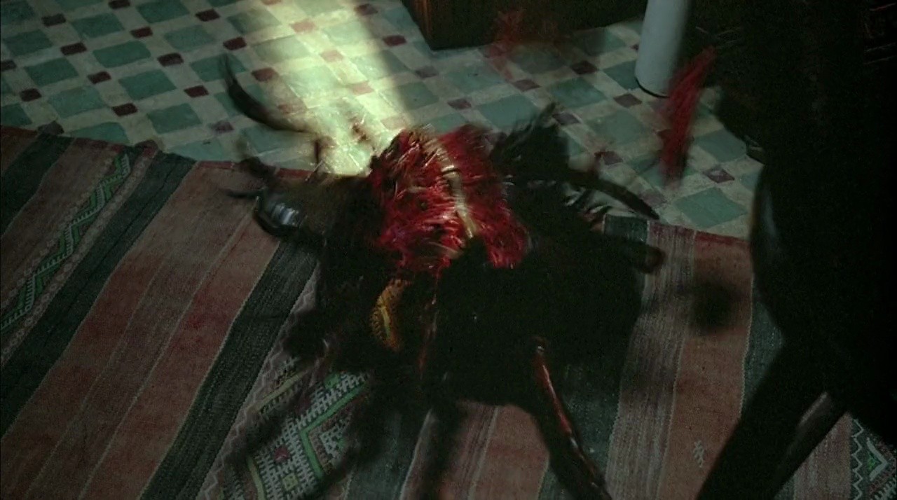 Shot 623