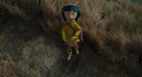 Shot 47