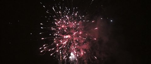 Shot 1462