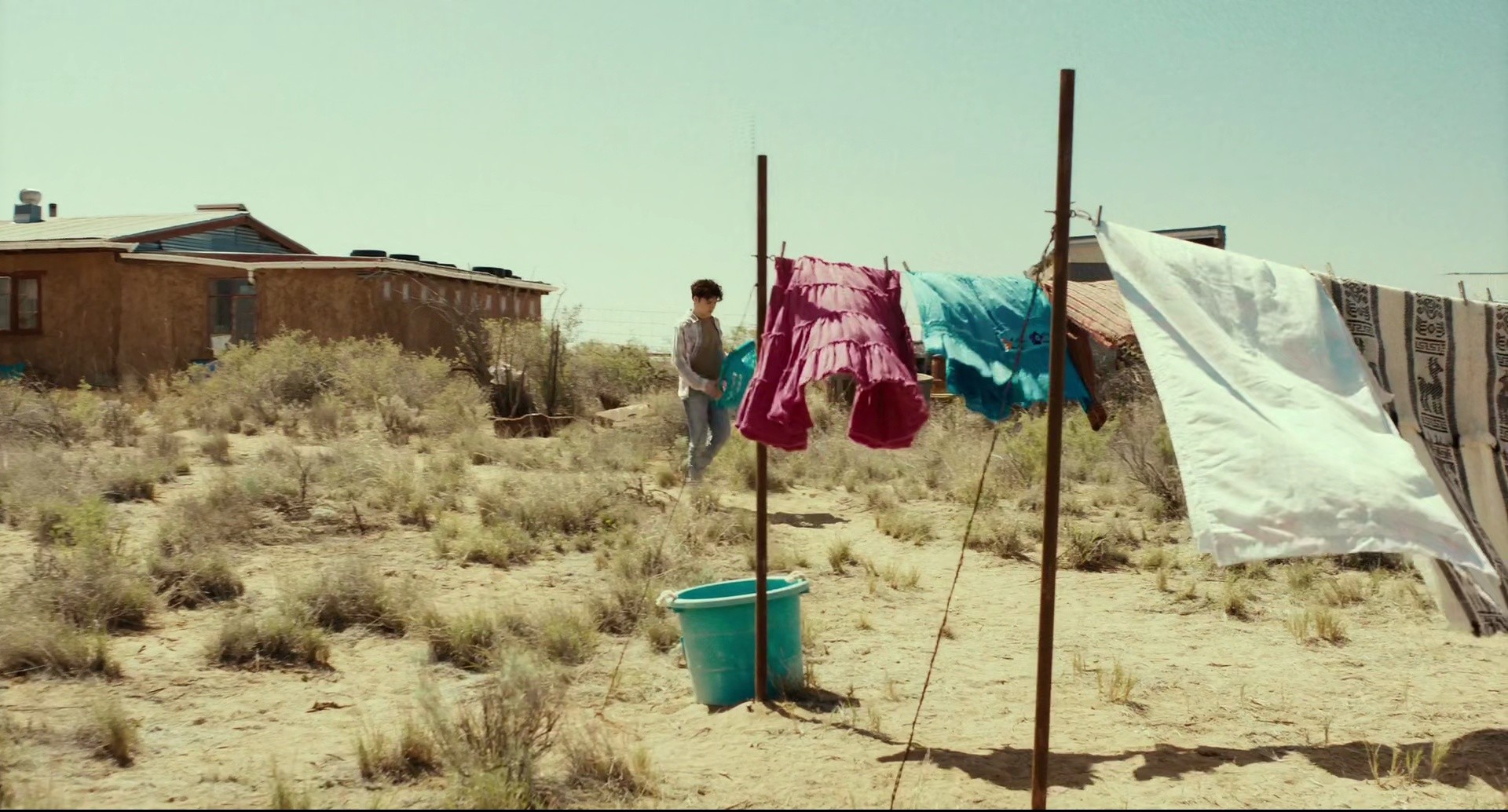 Shot 431