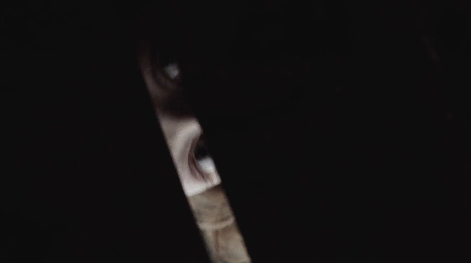 Shot 931