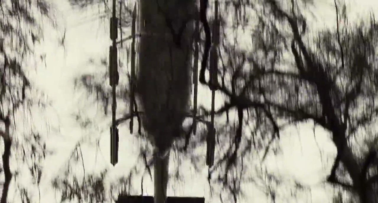 Shot 1529