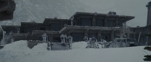 Shot 1981