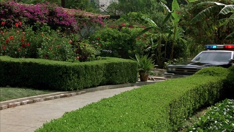 Shot 1282