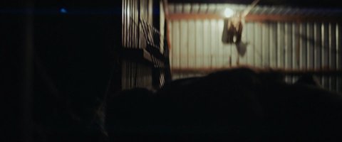 Shot 27
