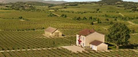 Shot 1799