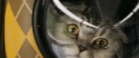 Shot 459