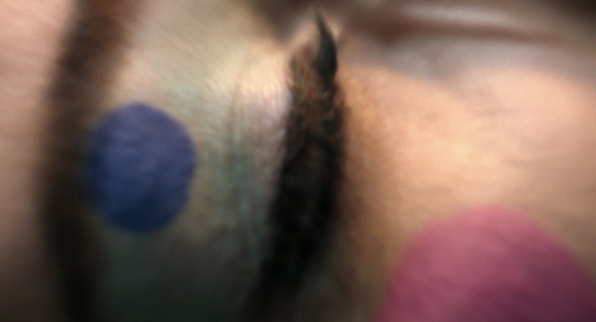Shot 46