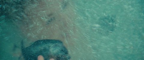 Shot 215