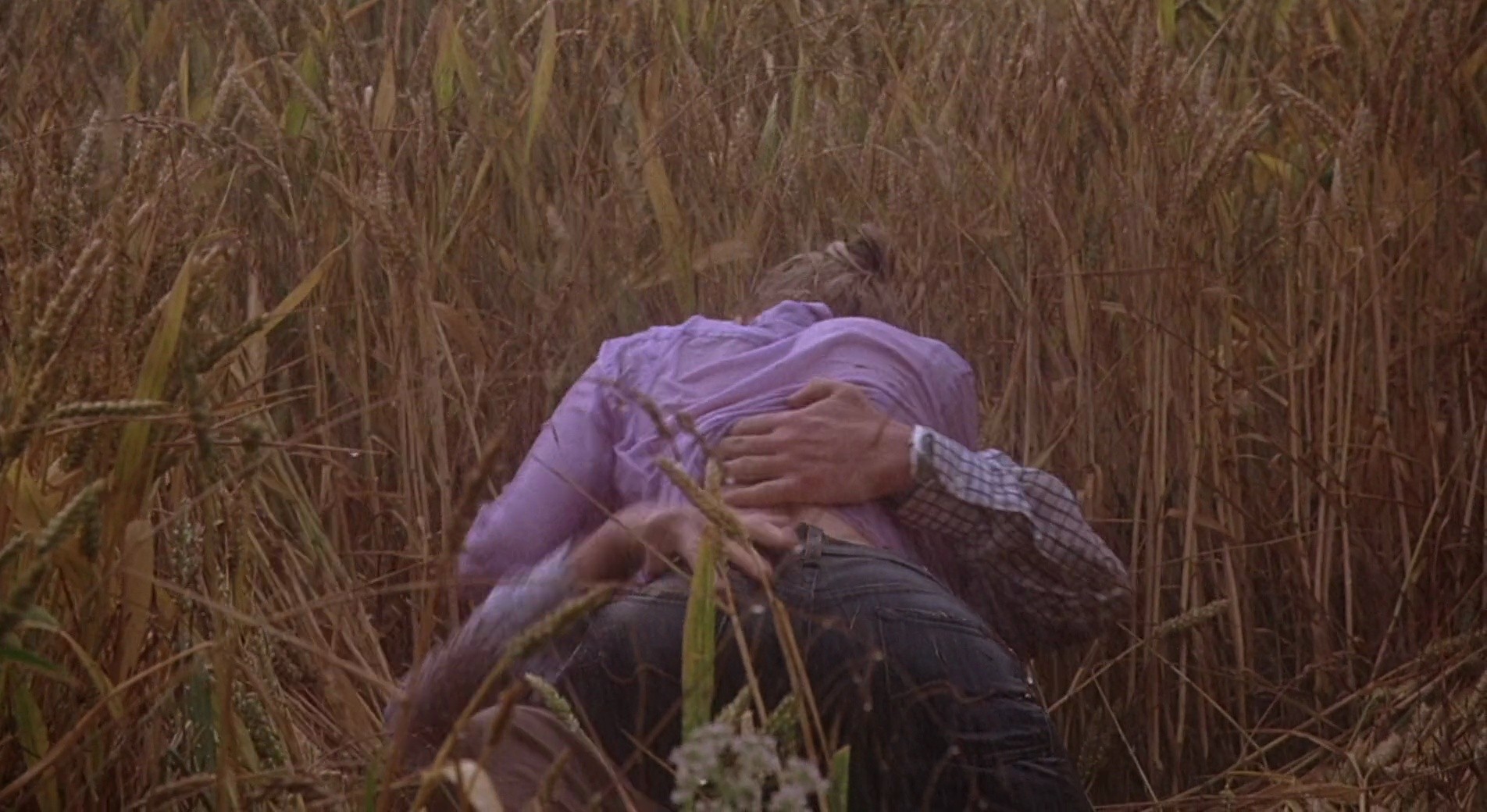 Shot 203