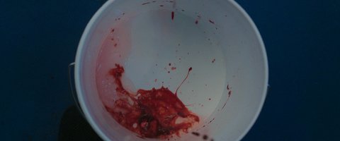 Shot 1115