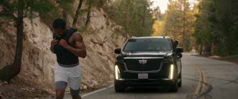 Shot 1482