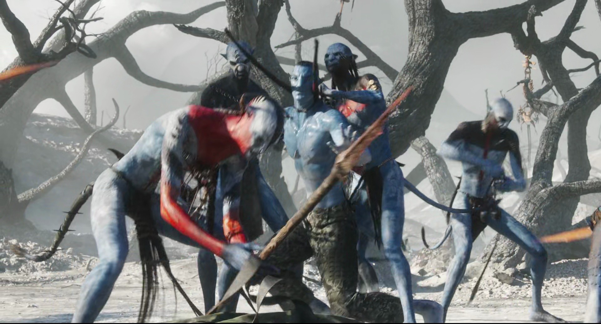 Shot 1340