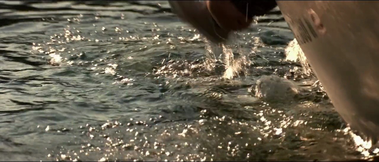 Shot 508