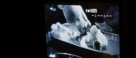 Shot 66