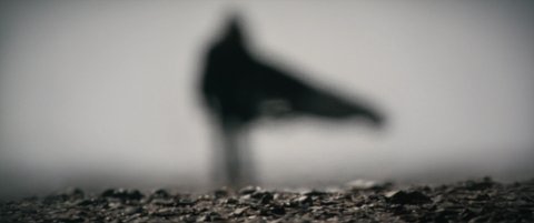 Shot 767