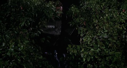 Shot 494