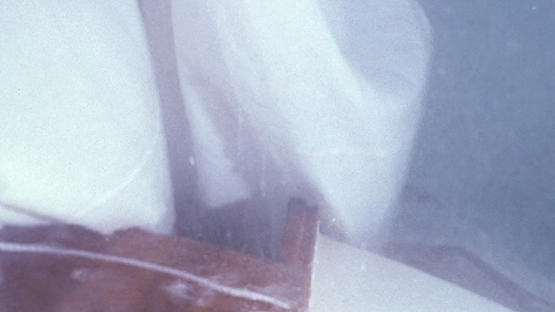 Shot 1294