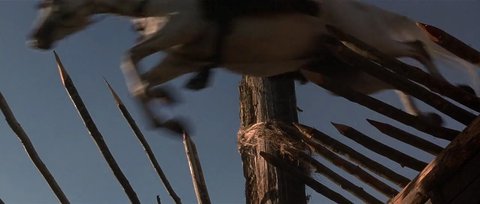 Shot 838